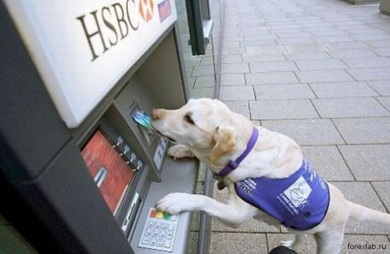 Интересное о банкоматах